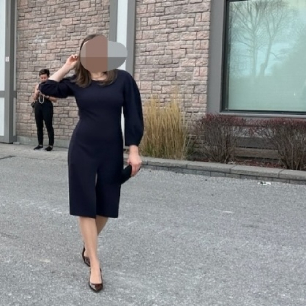 Massimo dutti midi dress